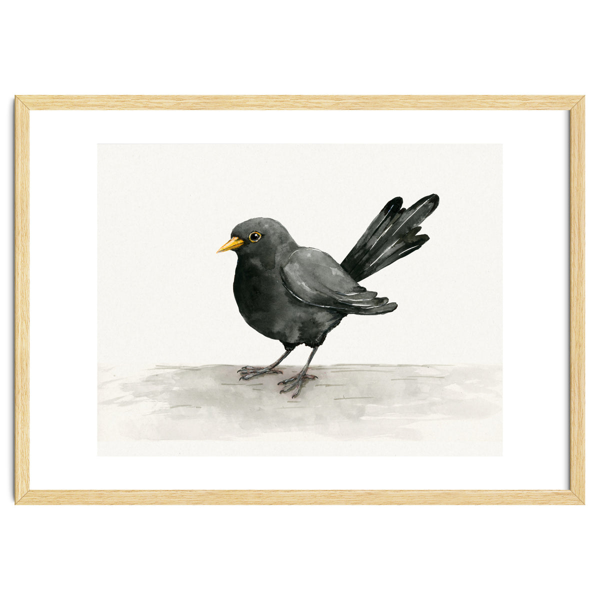 Blackbird ink drawing