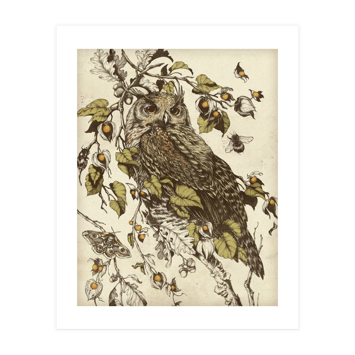 Great Horned Owl (Print Only)
