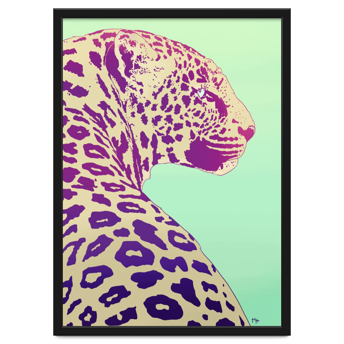 Leopard Under The Sun