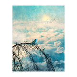 HEAVENLY BIRDS III-B2 (Print Only) thumbnail