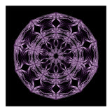 Mandala purple and black (Print Only) thumbnail