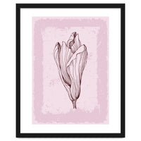 Magnolia Neutral Abstract Botanical