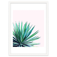 Agave Love