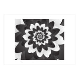 Mono Chrome Flower Spiral Pattern (Print Only) thumbnail