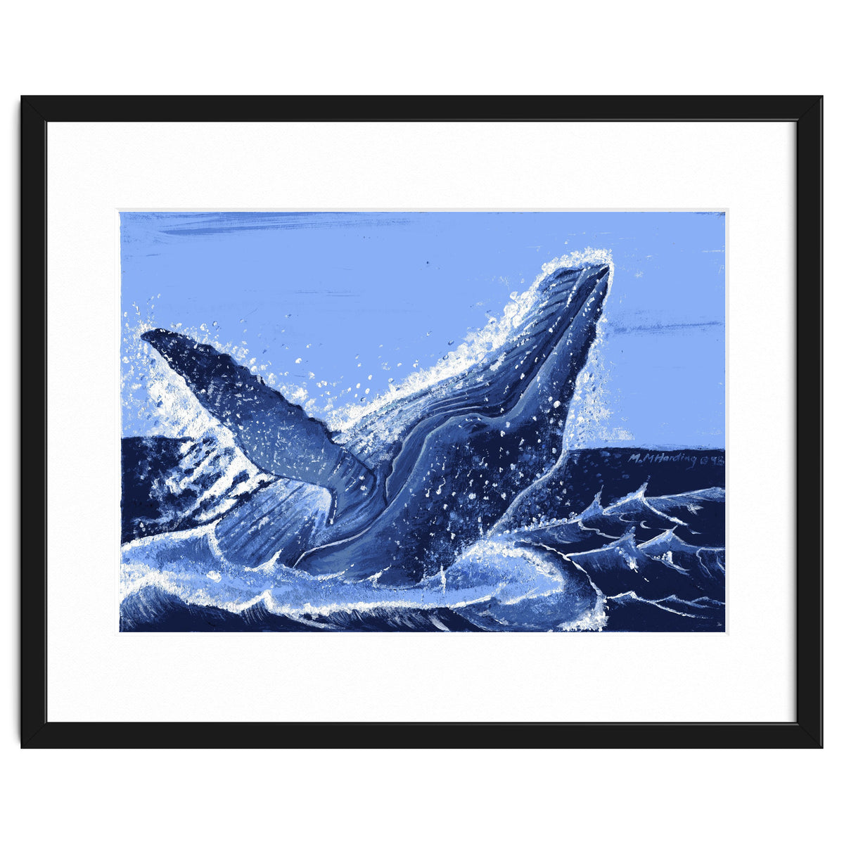 Humpback Whale Breaching