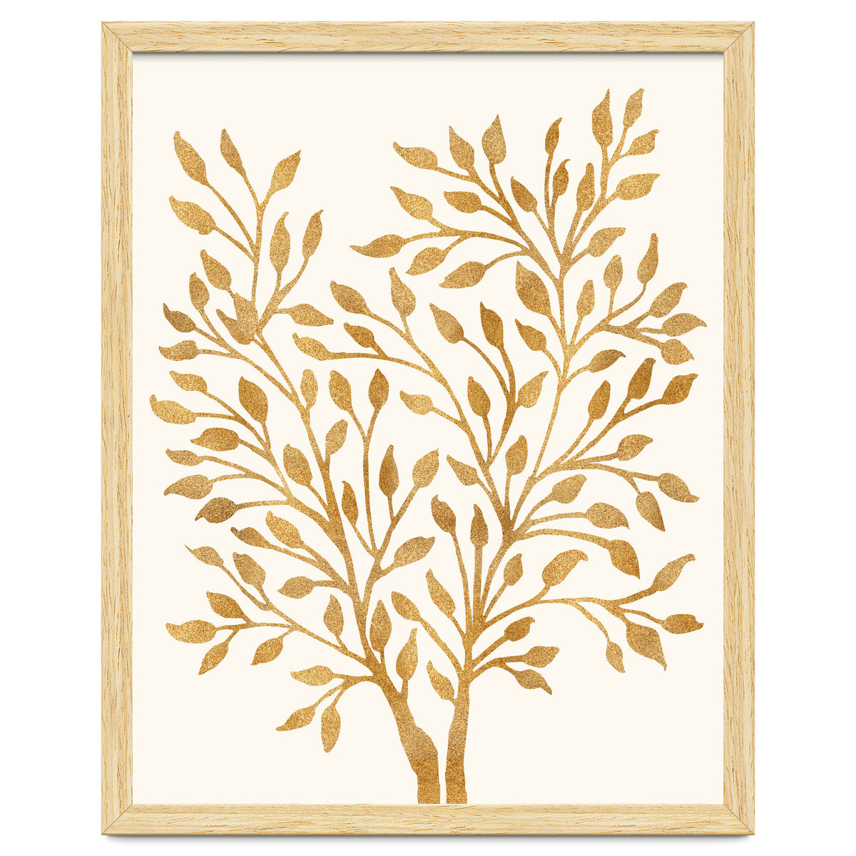 Golden Ficus 4x5