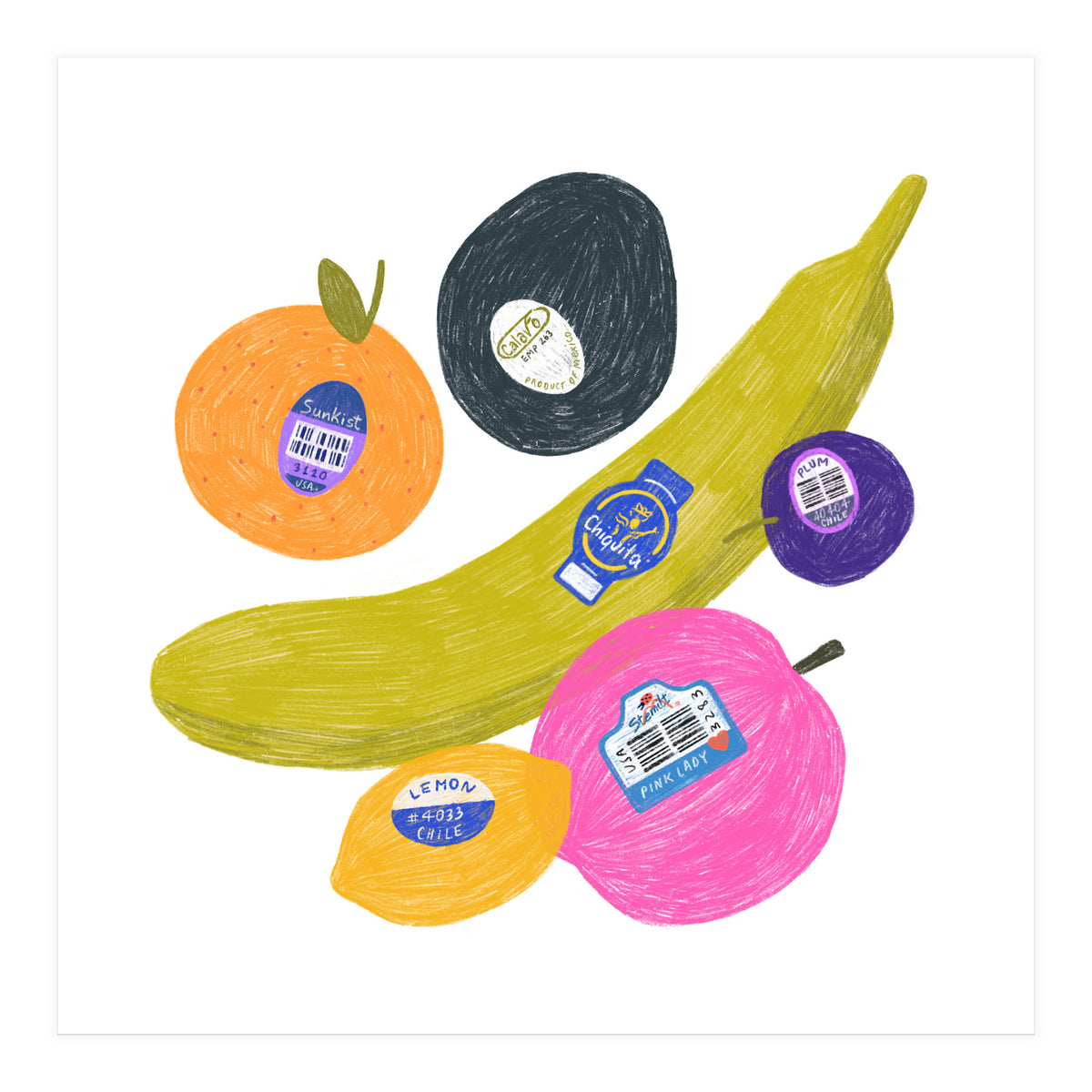Fruit Stickers Square (Print Only)