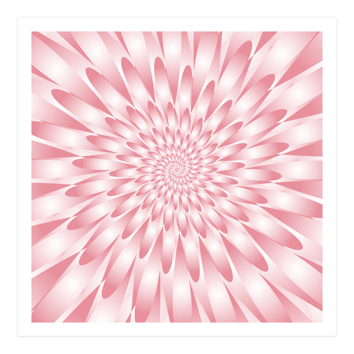 Spiral Pink Flower  (Print Only)