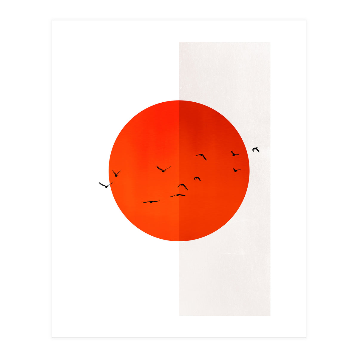 Seagulls Of The Sun (Print Only)