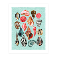 Seashells (Print Only)