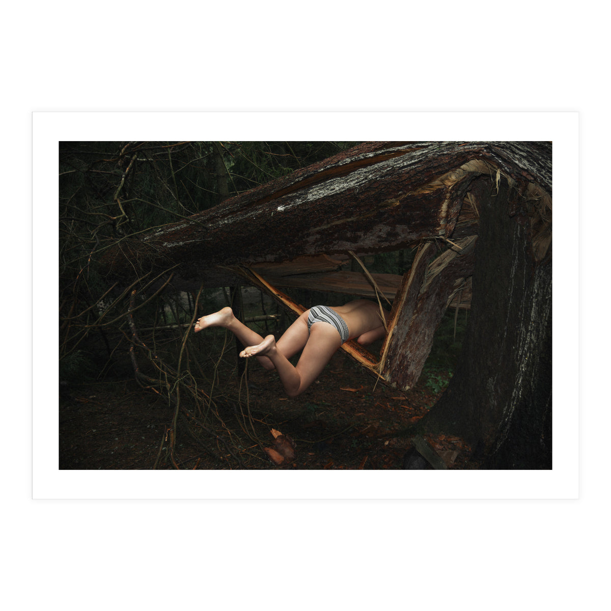 Don’t go There, It’s a Trap (Print Only)