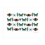 Spring Butterflies (Print Only) thumbnail