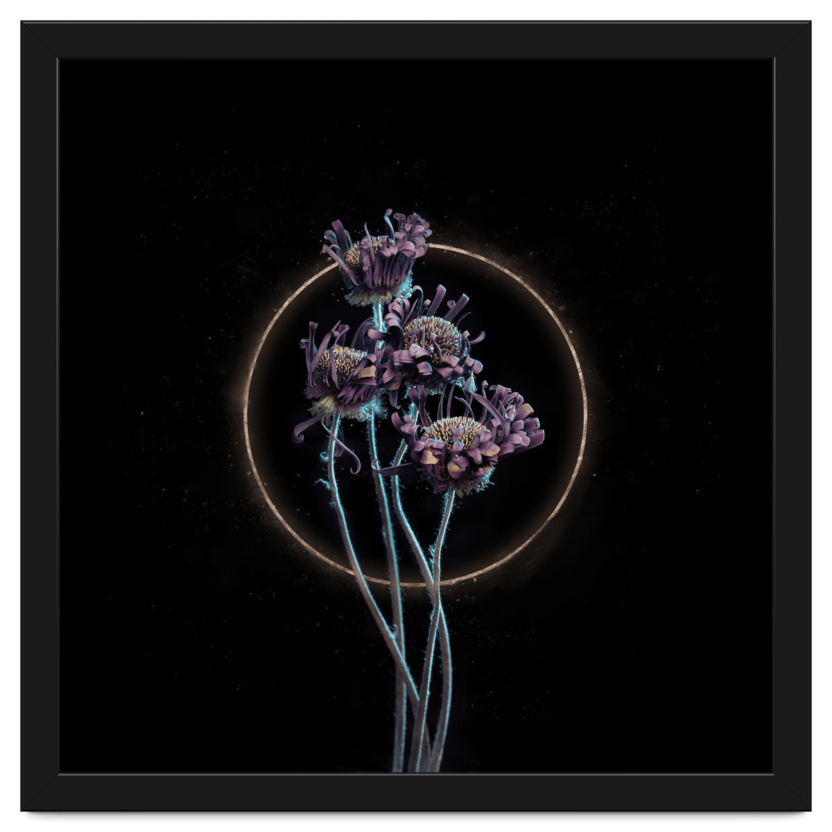 Candy-Coloured Mystery