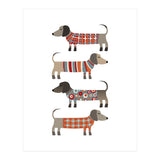 Sausage Dogs In Sweaters (Print Only) thumbnail