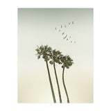 Vintage palm trees at sunset (Print Only) thumbnail