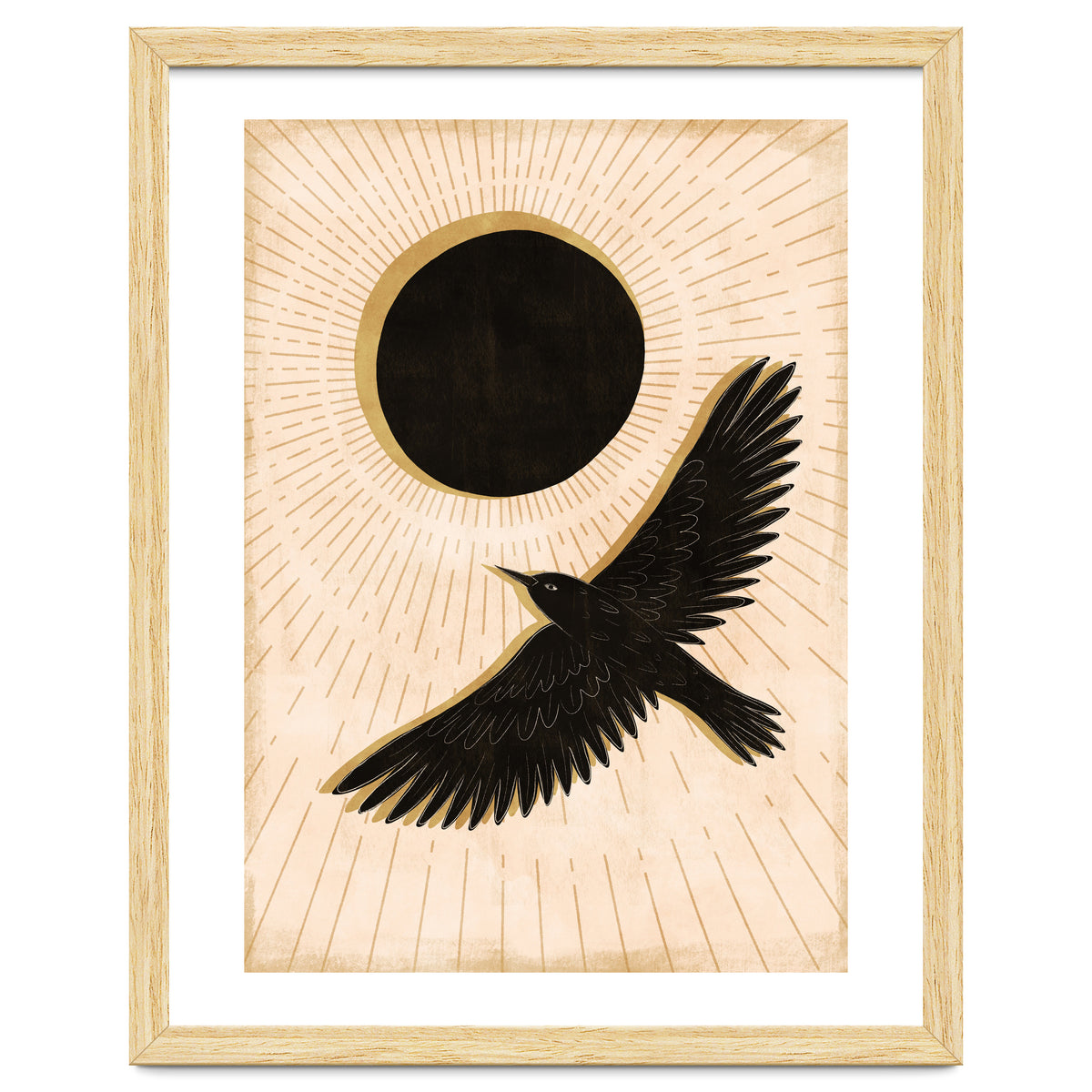 Raven And A Black Sun