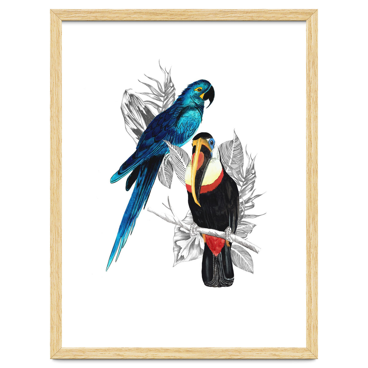 The Toucan and the Parrot