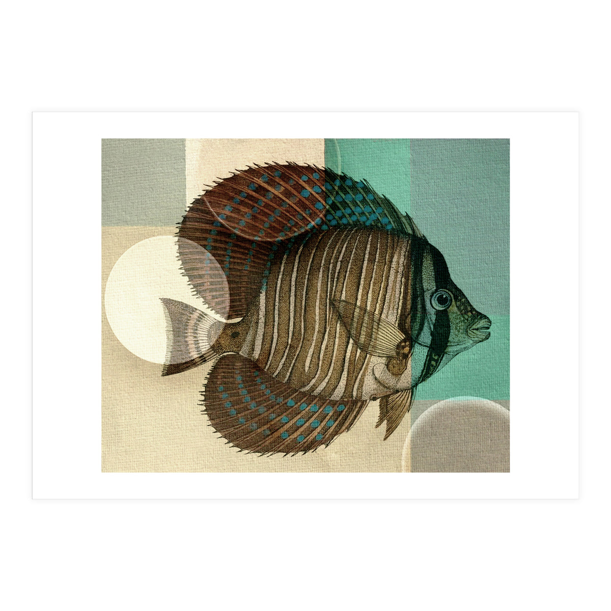 Fish Between Circles 4 (Print Only)