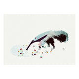 Anteater (Print Only) thumbnail