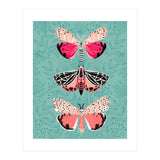 Lepidoptery Study No. 6 (Print Only) thumbnail