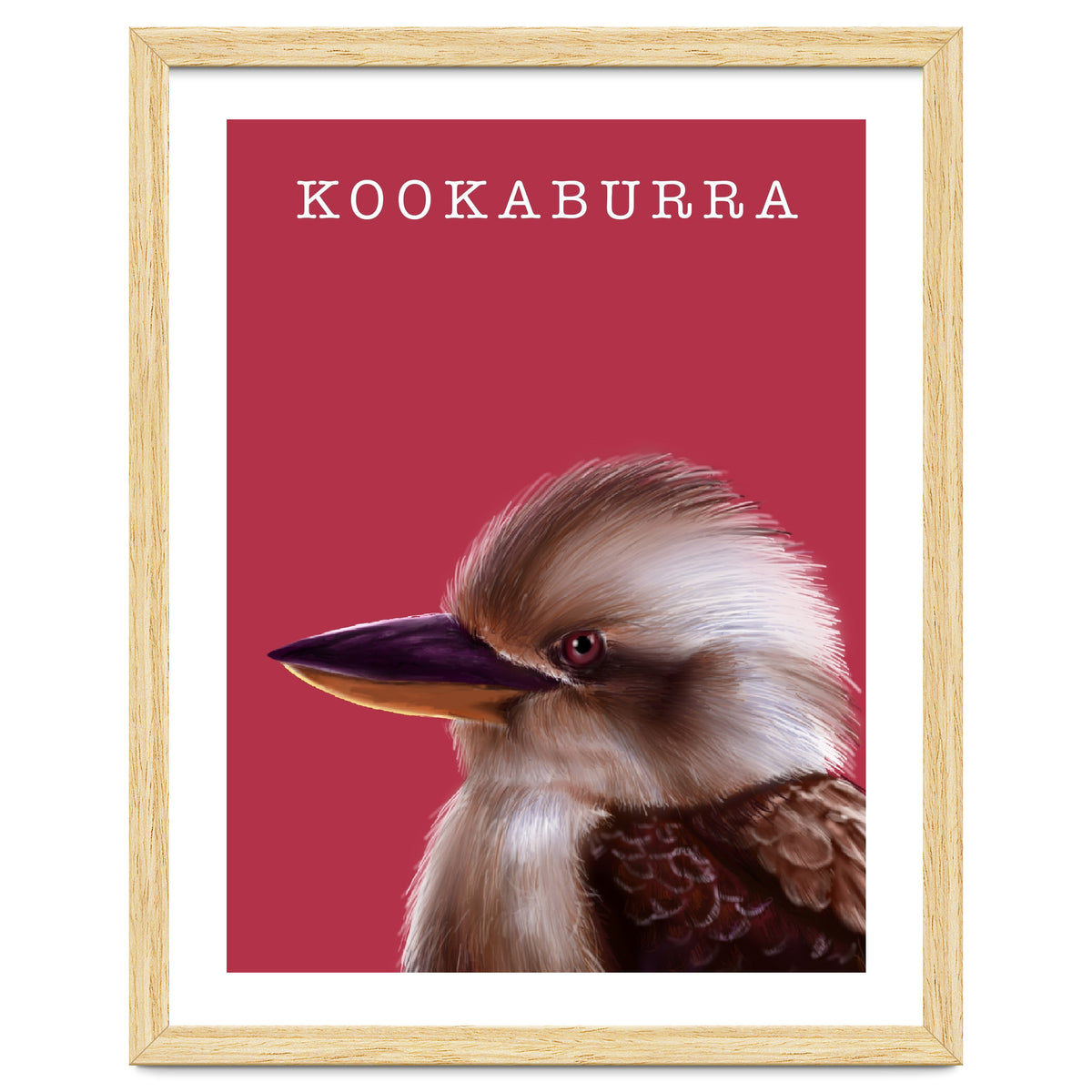 Kookaburra