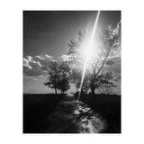 Walking on the shadows (Print Only) thumbnail