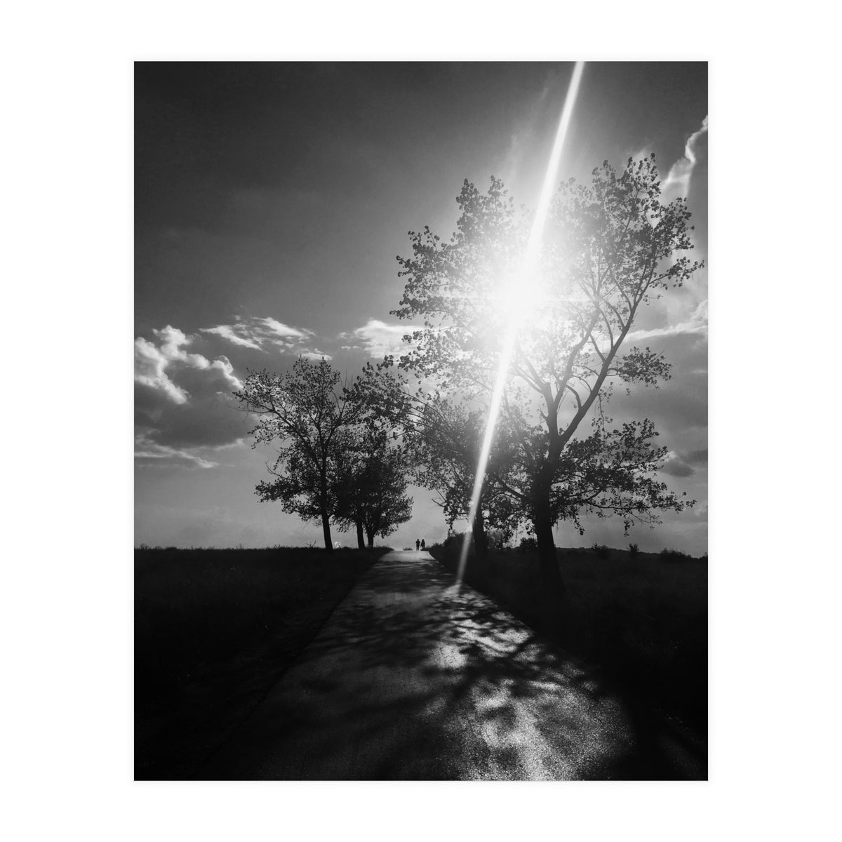 Walking on the shadows (Print Only)