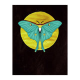 Luna Moth Moon (Print Only) thumbnail