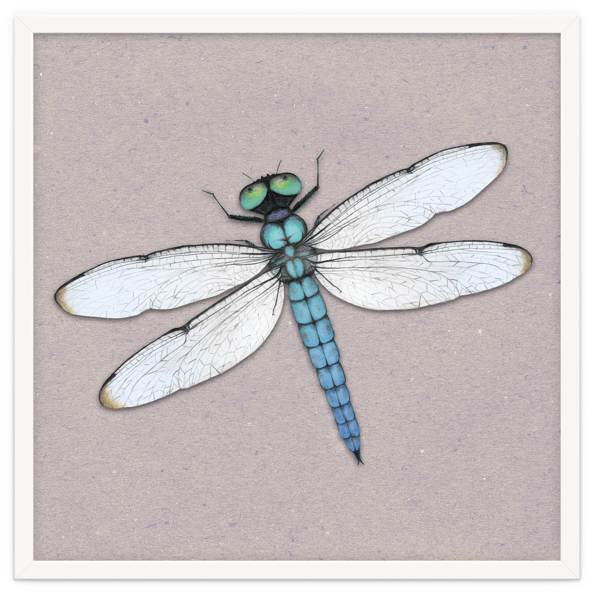 Blue dragonfly