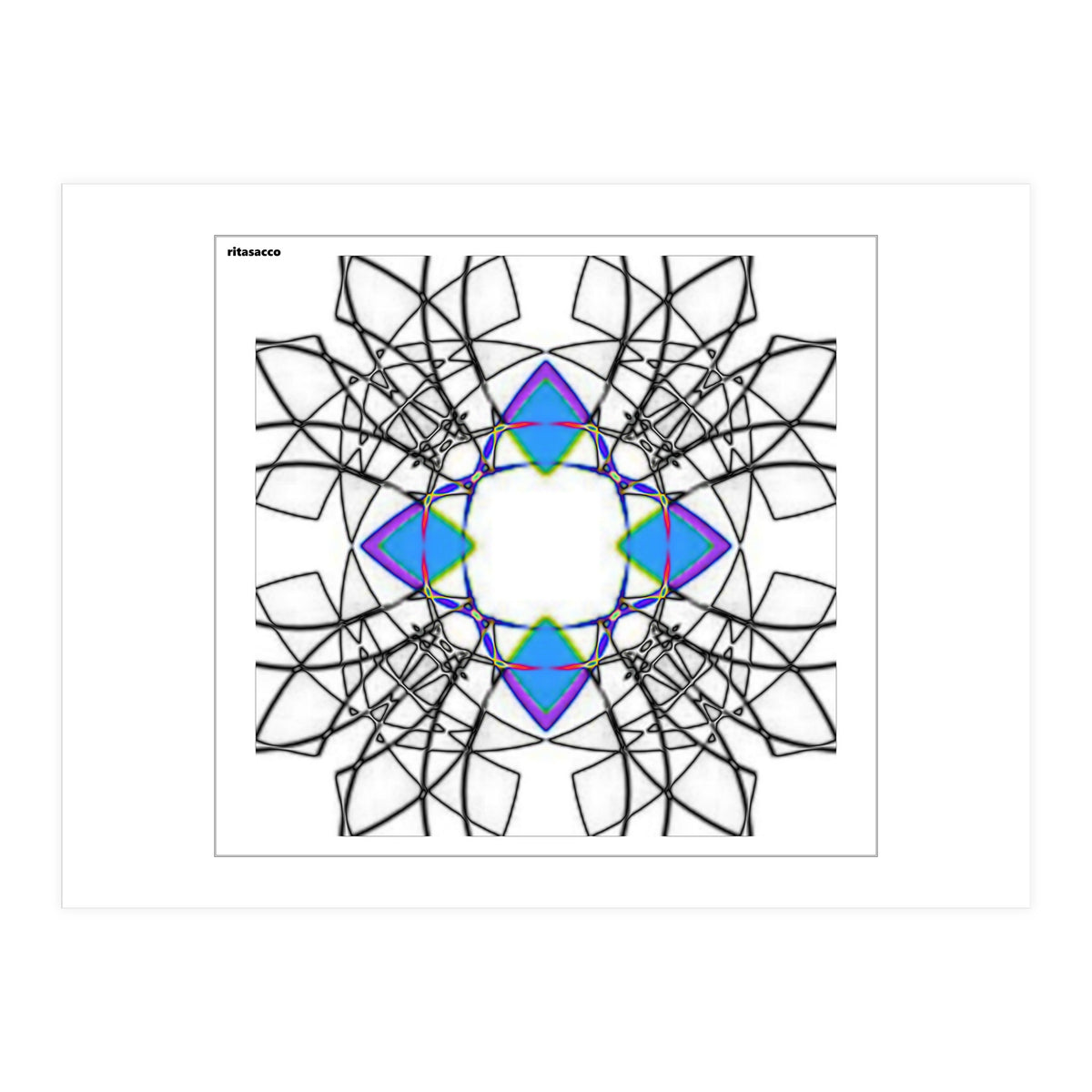 fiori.6 (Print Only)