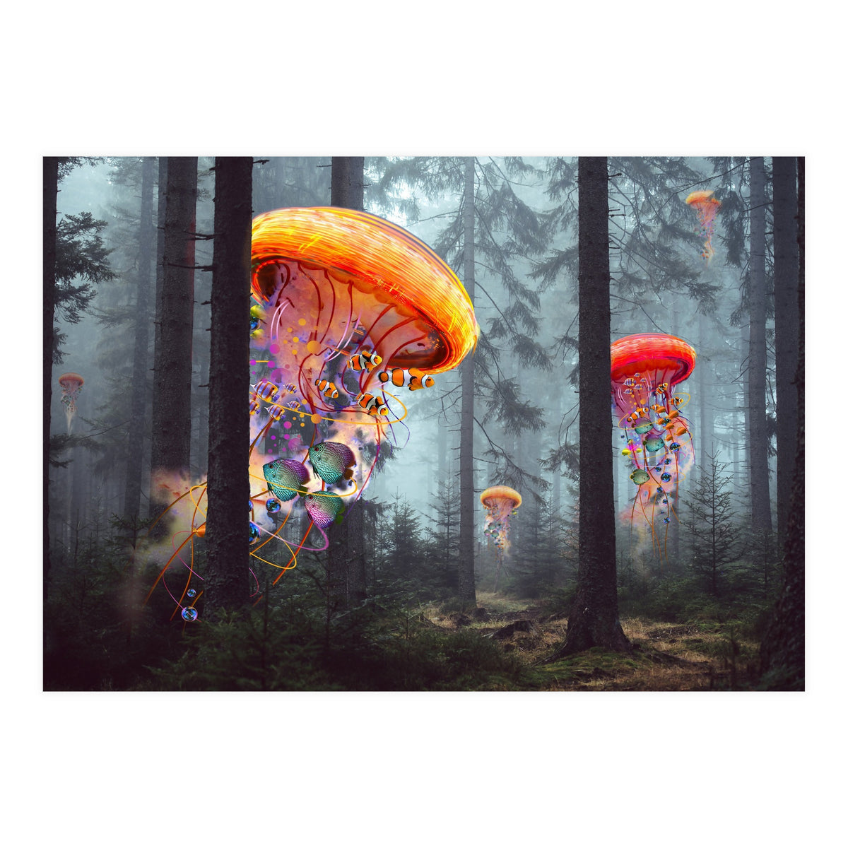 Forest Jellyfish For Print7000 (Print Only)
