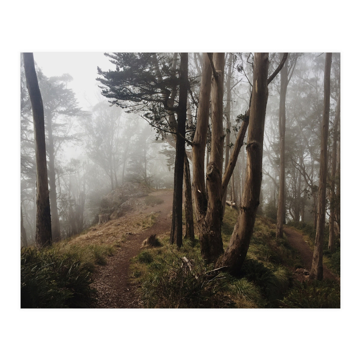 Mt. Davidson I (Print Only)
