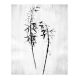 Hosta 2 (Print Only) thumbnail