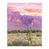 Cactus Sunset (Print Only) thumbnail