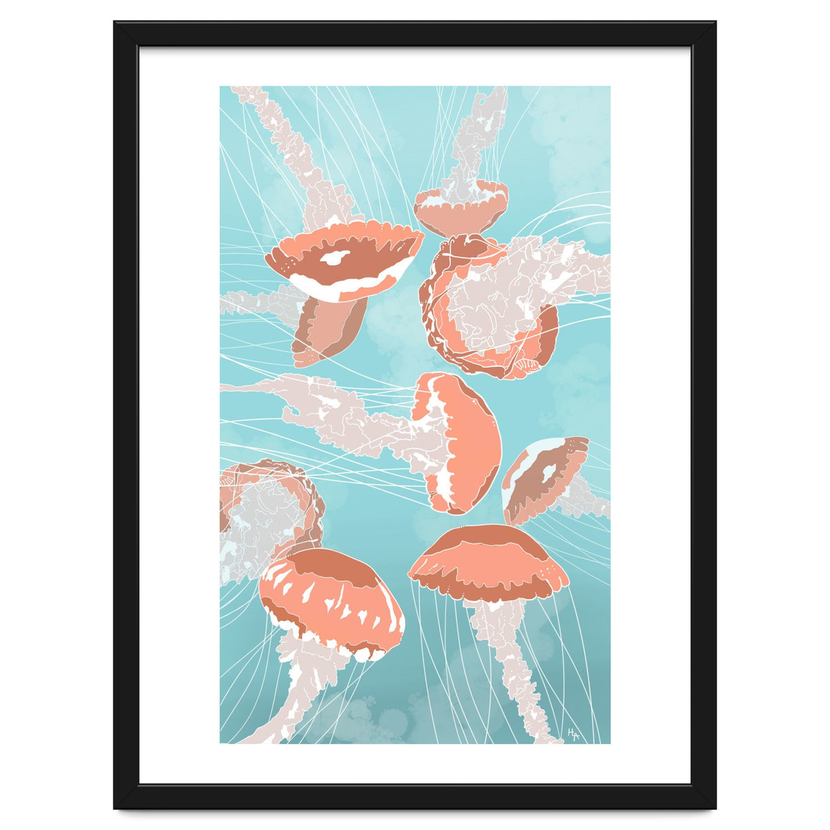 Jellyfish