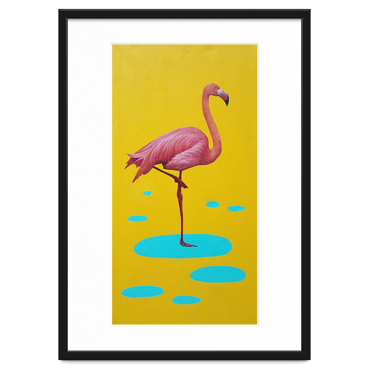Flamingo