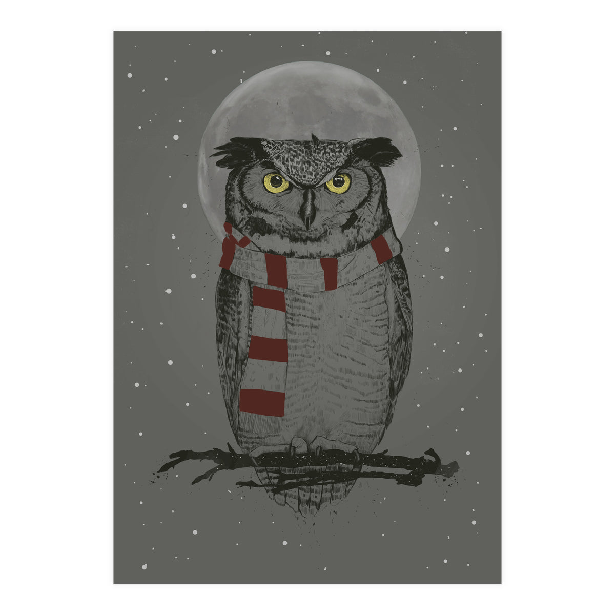 Winter Owl (Print Only)