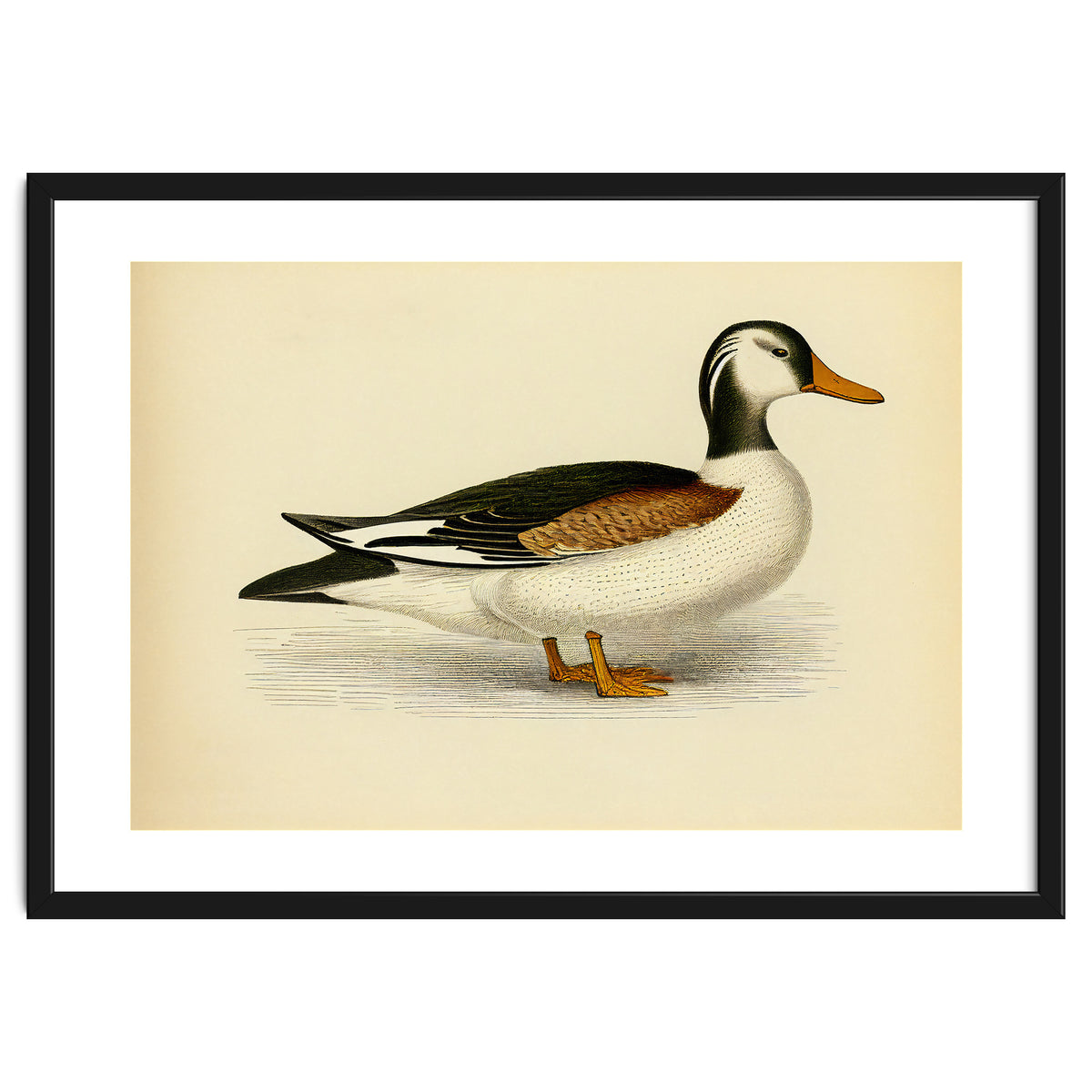 Vintage Duck Painting