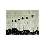 Six Palm Trees . (Print Only) thumbnail