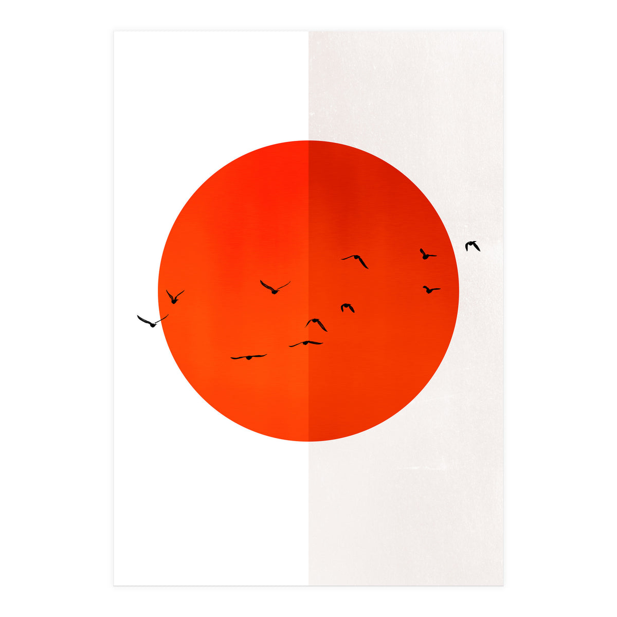 Seagulls Of The Sun (Print Only)