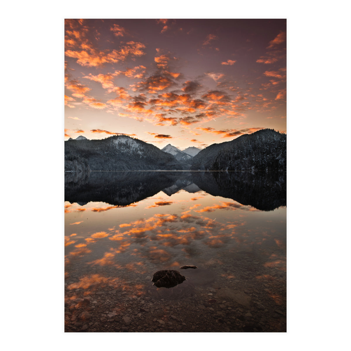 Magestic (Print Only)