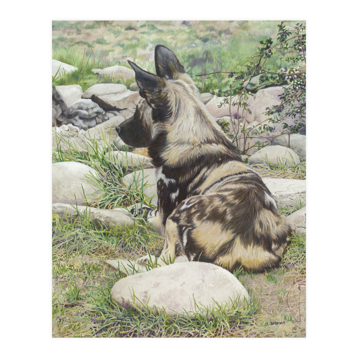 African Painted Dog I (Print Only)