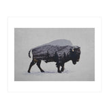The American Bison (Print Only) thumbnail