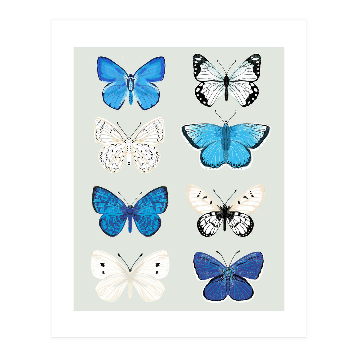 Lepidoptery Study No. 3 (Print Only)
