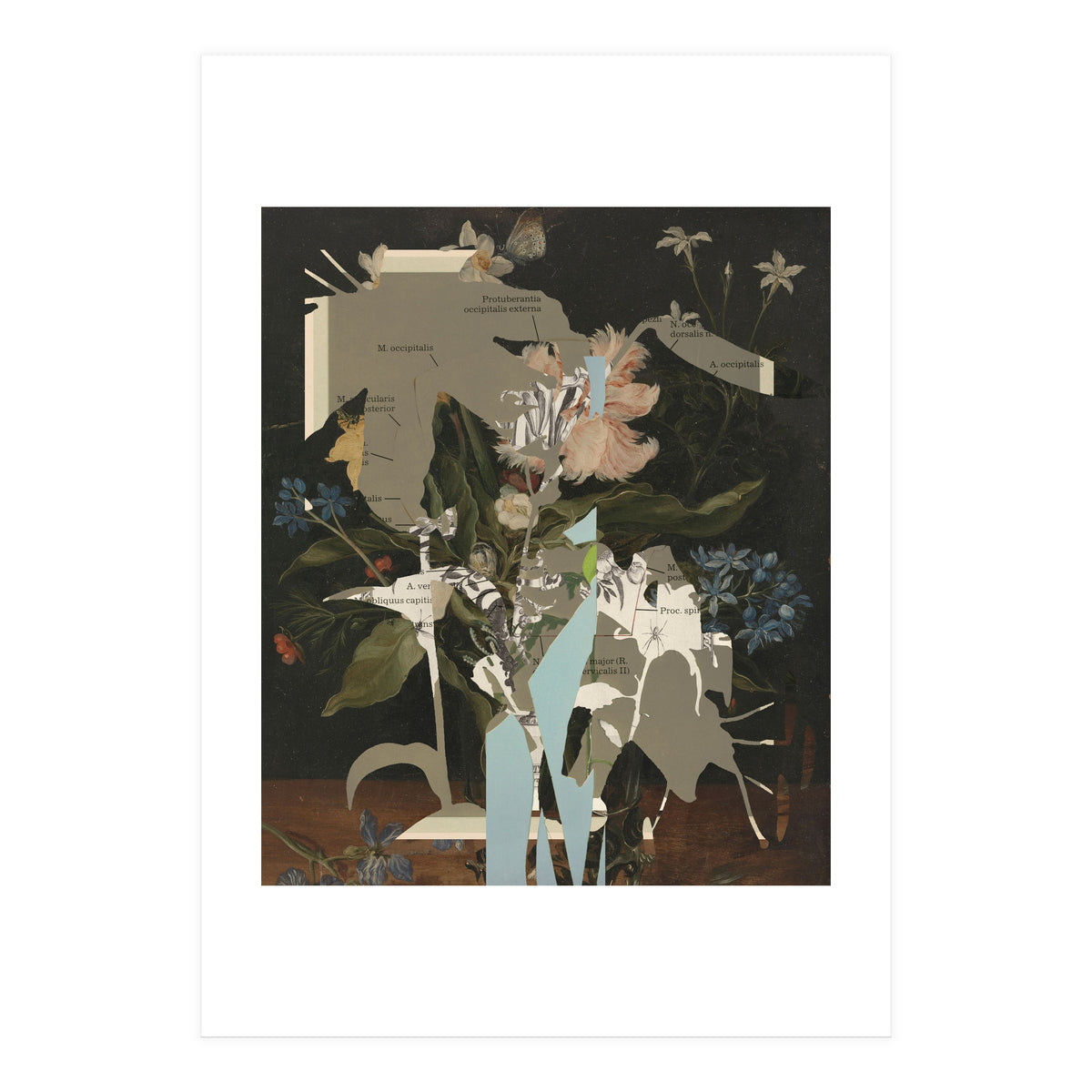 The First Plant · D2 (Print Only)