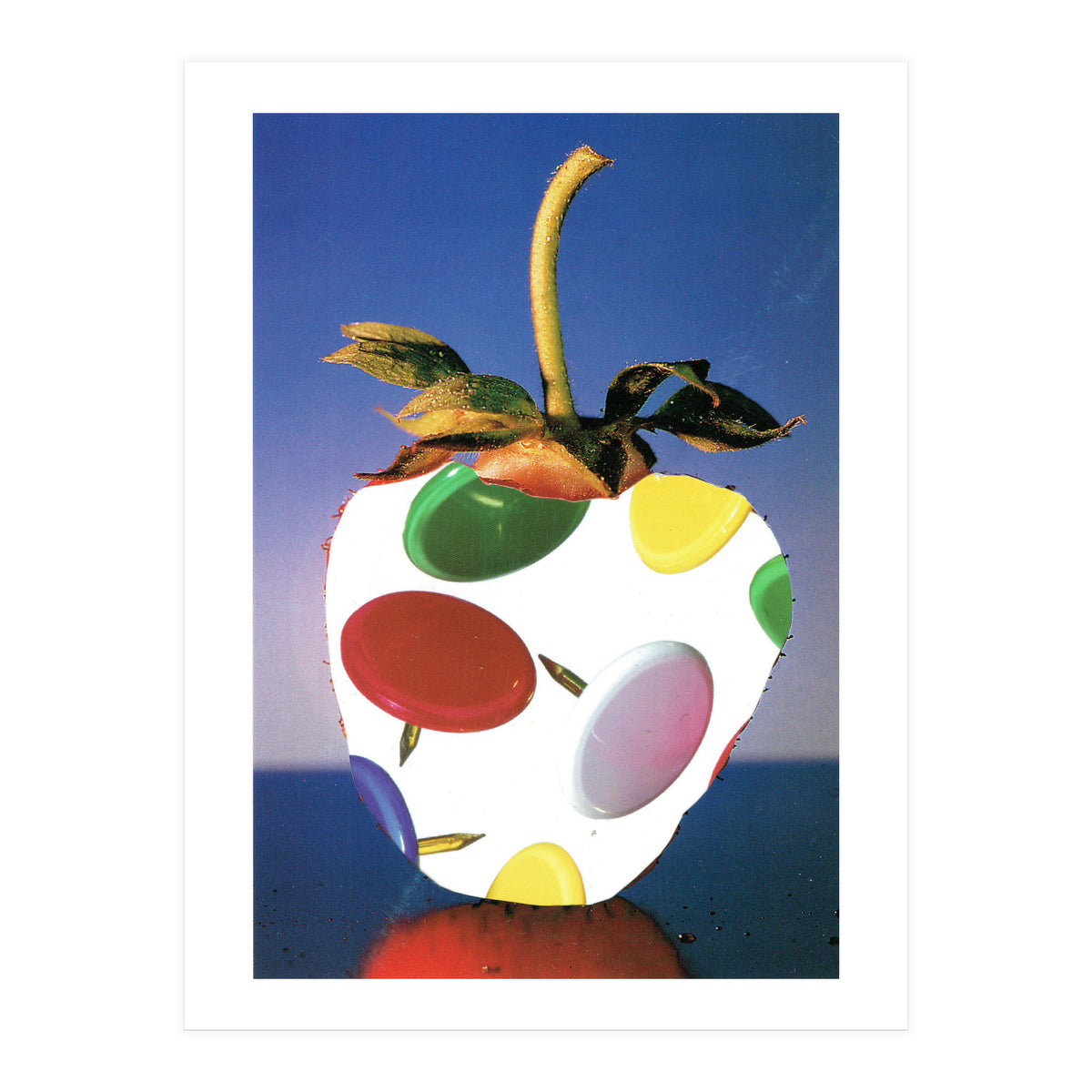 Stachelbeere (Print Only)