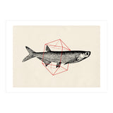 Fish In Geometrics II (Print Only) thumbnail