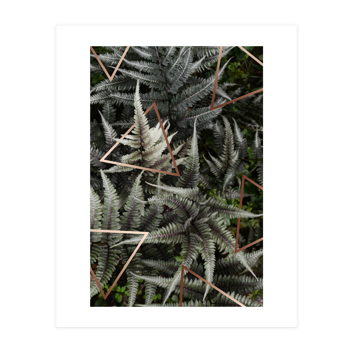 Fern Art (Print Only)