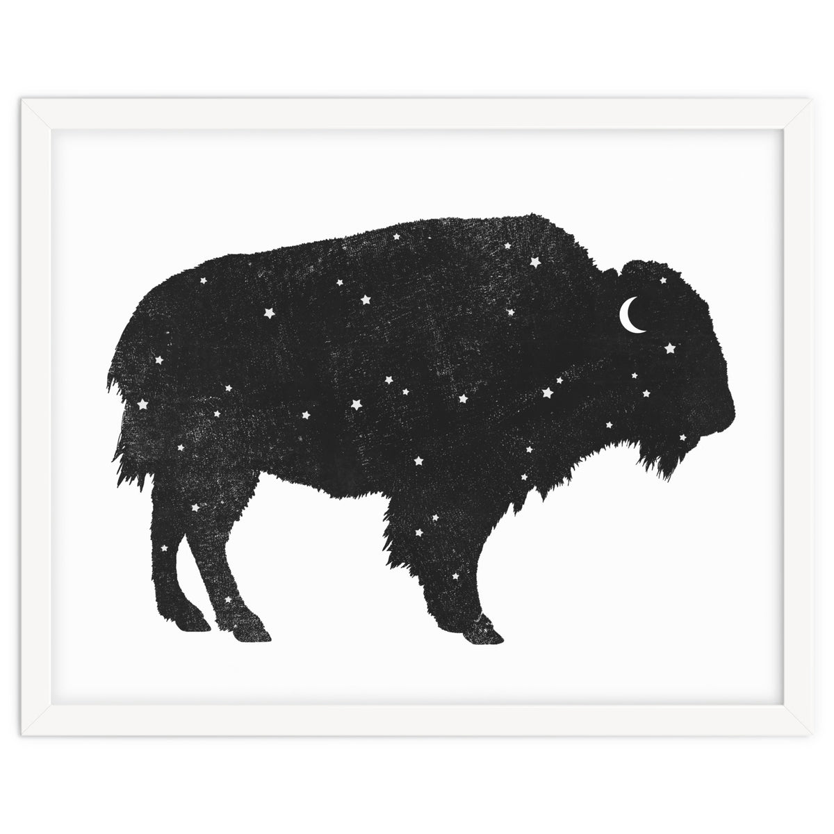 Mystic Buffalo