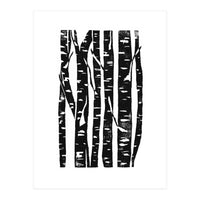 Woodcut Birches (Print Only)